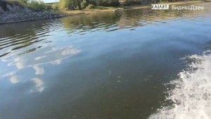 Рыбалка на Ириклинском водохранилище летом. "Весь июль на рыбу плюй..."