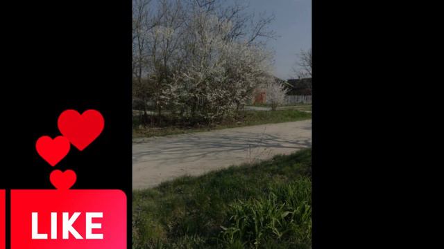 С какими неприятными вещами мы столкнулись при переезде в Краснодарский край. Переезд на Кубань смотреть онлайн