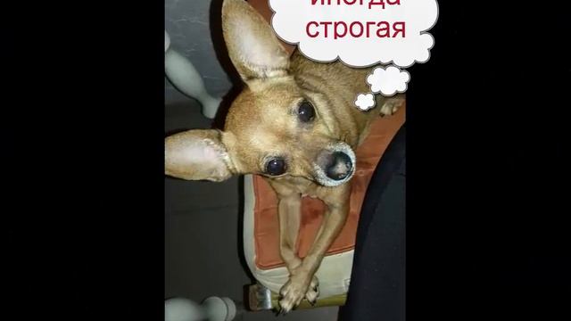 Краткая биография смотреть онлайн