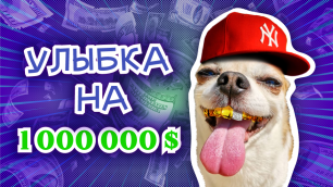 Собачья улыбка на 1 миллион долларов $$$