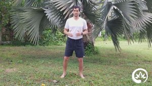 Цигун: стихия Дерево. Регулирует печень, желчный пузырь и гнев. Пять элементов цигун утром.