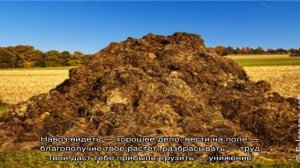 «Навоз к чему снится во сне? Если видишь во сне Навоз, что значит?»