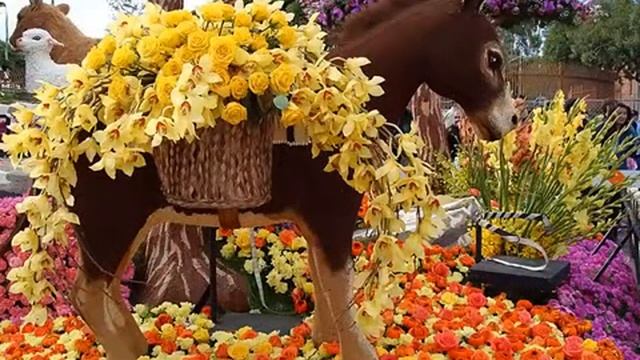 Парад роз в Пасадене смотреть онлайн