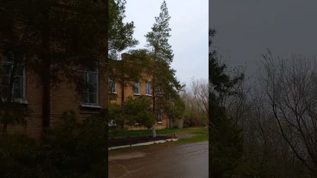 Уральский Литейно-Механический Завод. Деркул(Селекционная) апрель 2023