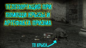 ввз Воспоминание. пда Мухи. странная крыса во дворе. Телепортация при помощи крысы и артефакта