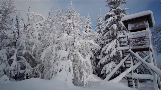 Национальный парк , лыжная прогулка по заснеженному лесу. Великолепная возможность снять стресс . смотреть онлайн