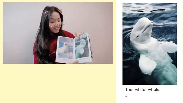 RAZkids Level AA | Book27 White смотреть онлайн