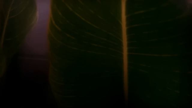 These Are Signs That Indicate Your Isolation Phase Is Preparing You For Your Destiny | Awakening смотреть онлайн