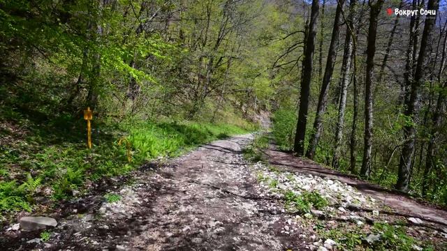 #42 Кругозор Ефремова и Дольмены Красной поляны.