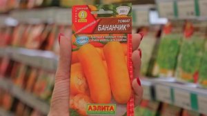 ? ТРИ НОВЫХ СОРТА ТОМАТОВ в 2021: Жорик Обжорик, Бананчик, Сердце красавицы