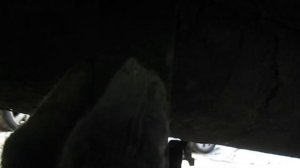 Меняем крепеж глушителя на газели Некст