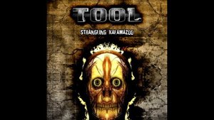 Tool - Stinkfist feat. Buzz Osborne (Live in Kalamazoo)