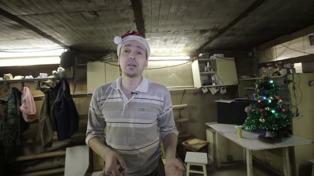 Сколько нужно места в доме чтобы заводить собаку? смотреть онлайн