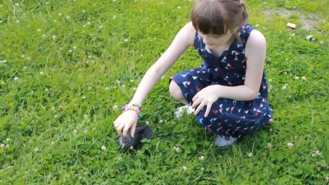 Птенец вороны выпал из гнезда. Голубоглазый вороненок. Каркуша. смотреть онлайн