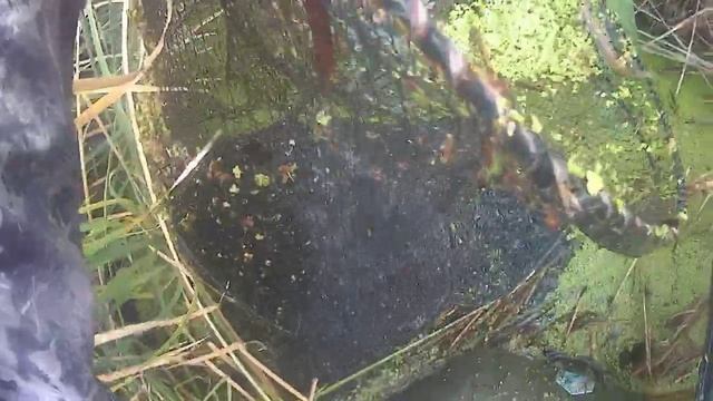 рыбалка на верши смотреть онлайн