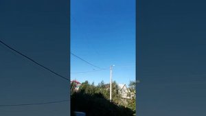 Сапсан и царицынские голуби. Не для детей.