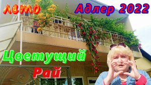 Летний день в Адлере и улица Ленина