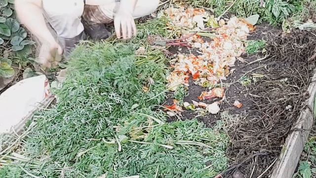 ПЕРЕГНОЙ за КОПЕЙКИ КРУГЛЫЙ ГОД! Растительный перегной вместо навоза!