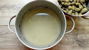 Варенье из сосновых шишек с мятой