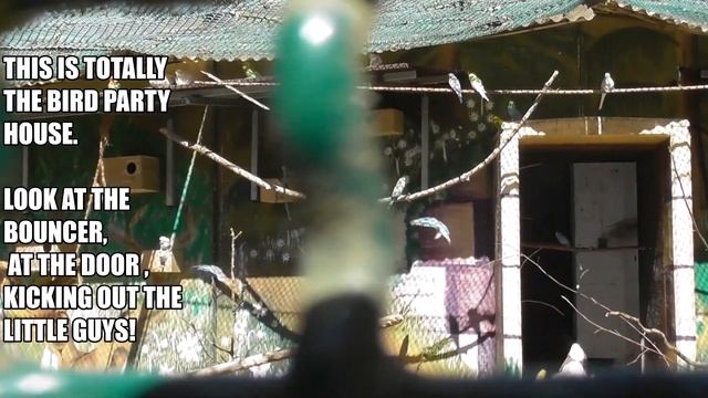 Bunte Garden, The Colorful Park in Mönchengladbach Germany смотреть онлайн