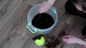 Как я выращиваю аквариумные растения в домашней теплице из пластиковых ведер на универсальной земле