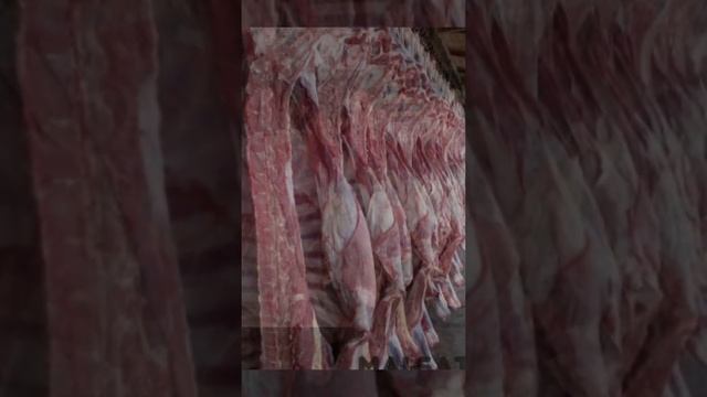 Мясо говядина и баранина халяль