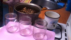 Жареные Грибы Консервированные Рецепт