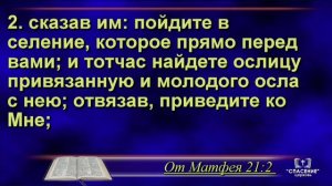 12 04 2020 утро - Отец Небесный, мы с любовью 1113