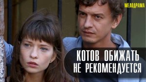 Котов обижать не рекомендуется 1-2 серия. Детективная мелодрама  2022 на ТВЦ. Дата выхода - сюжет