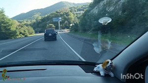 Путешествие из ДНР в Сочи на авто. Джубга- Сочи. 2 часть