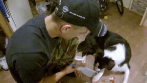 66. Что делать, если собака порезала лапу. Не бросайте стекло в лесу!