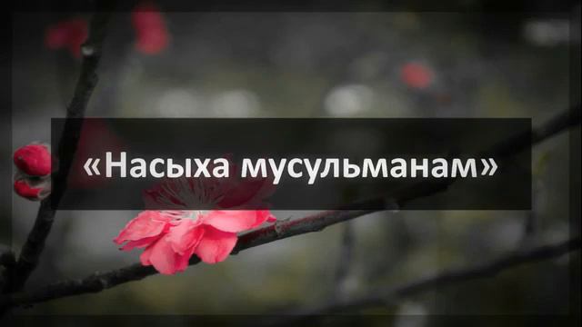 Ринат Абу Мухаммад «Насыха мусульманам» смотреть онлайн