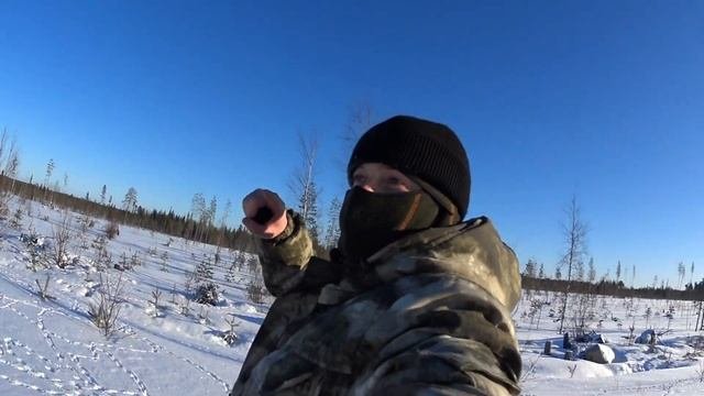 ТЕТЕРЕВ КОСАЧ. ТЕТЕРЕВИНЫЙ ТОК. СЛЕДЫ ПТИЦЫ.