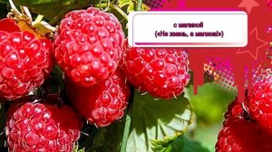 Online - викторина «Про Лето» - РДК "Аэлита"