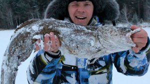 ТРОФЕЙНЫЙ НАЛИМ НА ЖЕРЛИЦУ!!! - ЖЕРЛИЦА НА НАЛИМА - Часть 1 -