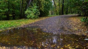 "ОТЦВЕЛИ УЖ ДАВНО"... (Фото Ольги Токаревой (Москва), романс Николая Харито - Поёт В. Бокоч)