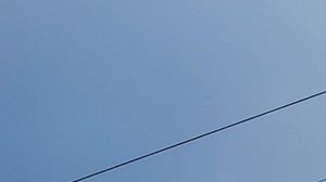 Жёсткая атака сапсана