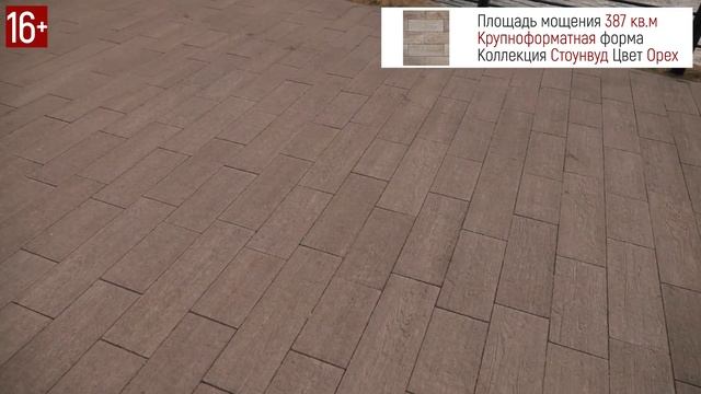Тротуарная плита Стоунвуд / Имитация дерева