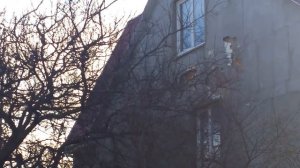 Фасад дома, птицы выклевывают пенопласт