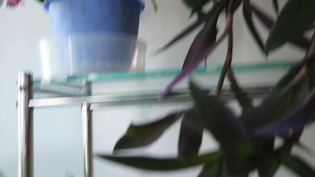 Шлюмбергера Dark Eva смотреть онлайн