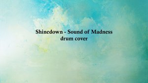 Shinedown - Sound of Madness (барабанный кавер)