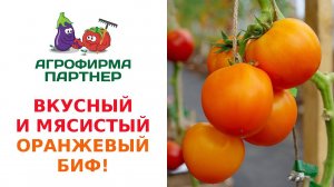 НОВИНКА! ВКУСНЫЙ И МЯСИСТЫЙ ОРАНЖЕВЫЙ БИФ!