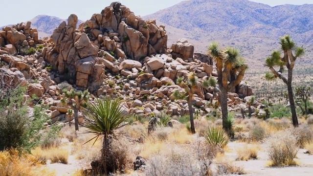 ОМАР ХАЙЯМ | МУДРОСТИ ЖИЗНИ | Никогда не иди назад | смотреть онлайн