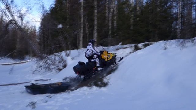 Легкий подпрыг на просеку смотреть онлайн