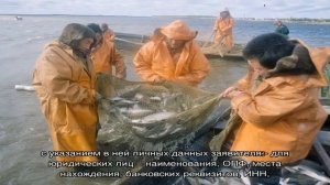 Как получить квоту на вылов рыбы