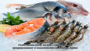 «Сонник Рыба приснилась, к чему снится во сне Рыба»