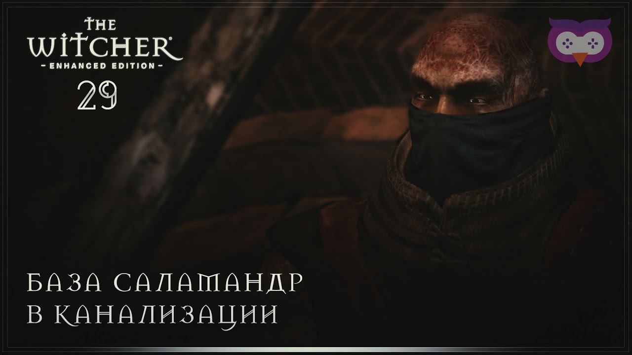 База саламандр в канализации  Ведьмак 1 (The Witcher) #29