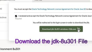 Failed to load java VM library (errno =193)