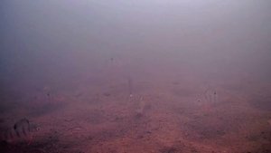 Зимняя блесна Трехгранка - тест классики