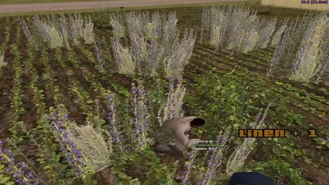 Сколько я Заработал за 1 Час На ФЕРМЕ На РОДИНА РП В GTA CRMP! смотреть онлайн